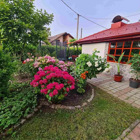 Апартаменты Hana Superior *